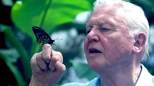 Mundo Natural Temporada 32 Episodios 5 • Sub Español