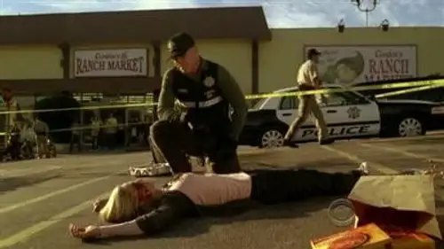 CSI: Las Vegas Temporada 11 Episodios 10 • Sub Español