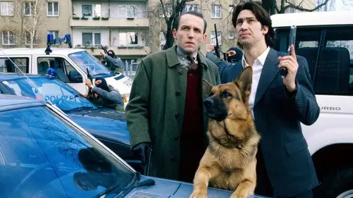 Rex, un policía diferente Temporada 2 Episodios 7 • Sub Español