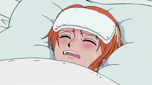 One Piece Temporada 3 Episodios 80 • Sub Español