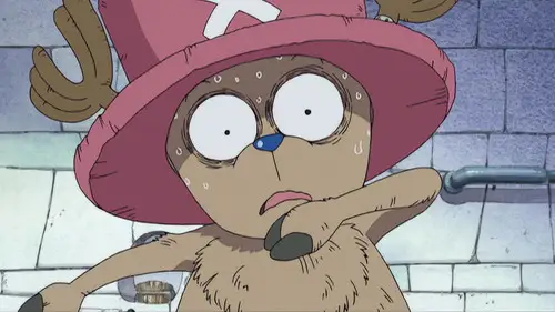 One Piece Temporada 3 Episodios 84 • Sub Español
