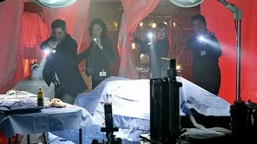 CSI: Las Vegas Temporada 11 Episodios 21 • Sub Español