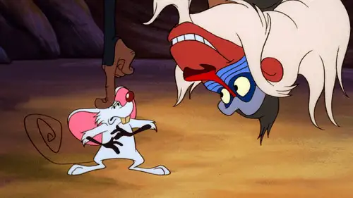 Timón y Pumba Temporada 1 Episodios 4 • Sub Español