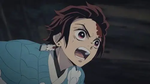 Kimetsu no Yaiba: Guardianes de la Noche Temporada 0 Episodios 13 • Sub Español