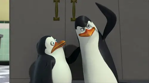 Los pingüinos de Madagascar Temporada 2 Episodios 2 • Sub Español