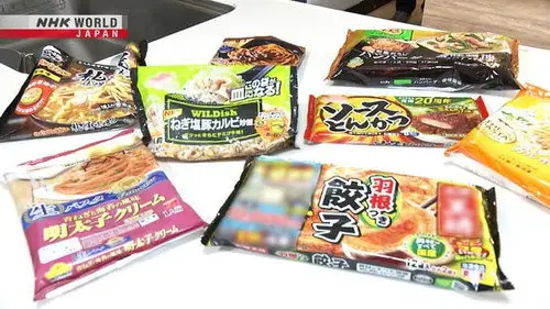 Japanology Plus Temporada 9 Episodios 17 • Sub Español