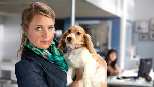 Verborgen Gebreken Temporada 1 Episodios 10 • Sub Español
