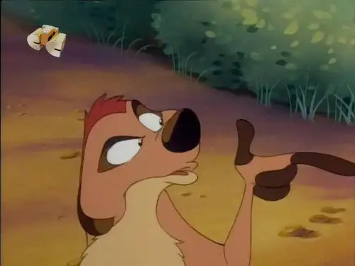 Timón y Pumba Temporada 1 Episodios 24 • Sub Español