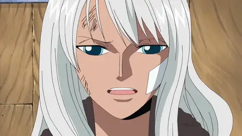 One Piece Temporada 9 Episodios 276 • Sub Español