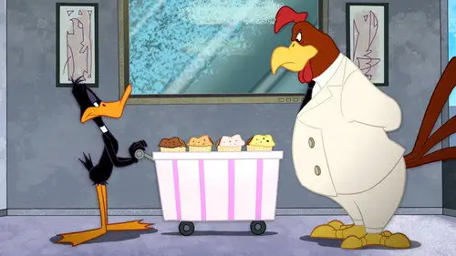 The Looney Tunes Show Temporada 1 Episodios 20 • Sub Español