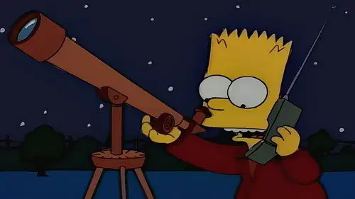 Los Simpson Temporada 6 Episodios 14 • Sub Español