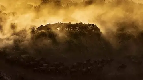 Nature S41E1 • Oglądaj Online