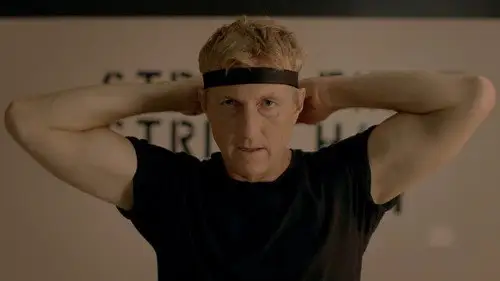 Cobra Kai Temporada 1 Episodios 1 • Sub Español