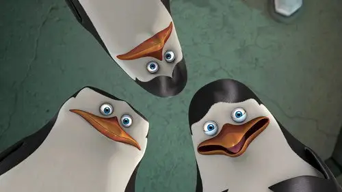 Los pingüinos de Madagascar Temporada 3 Episodios 10 • Sub Español