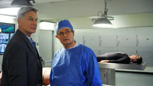 Navy: Investigación criminal Temporada 9 Episodios 15 • Sub Español