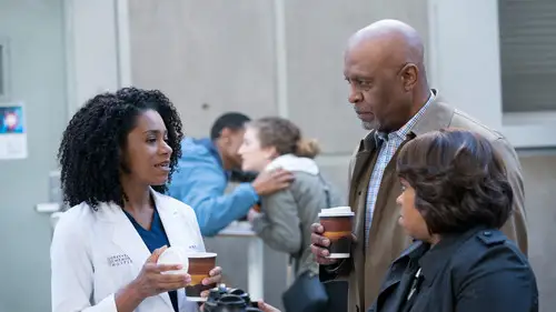Anatomía de Grey Temporada 14 Cap 15 • Español Online
