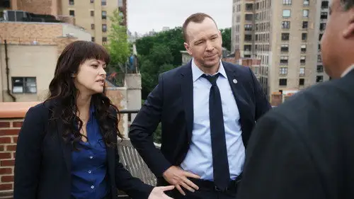 Familia de policías Temporada 8 Episodios 3 • Sub Español
