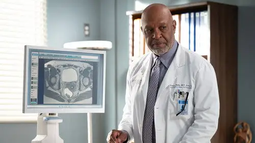 Anatomía de Grey Temporada 21 Episodios 4 • Sub Español