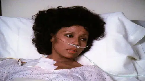 Dinastía 1981 Temporada 5 Episodios 21 • Sub Español