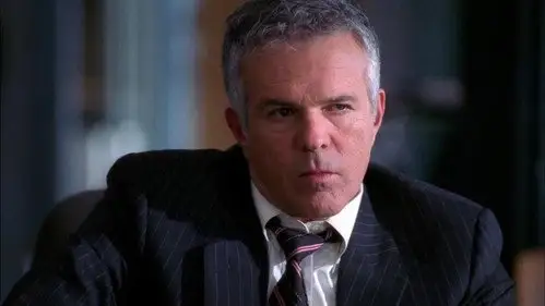 The Closer Temporada 3 Episodios 1 • Sub Español