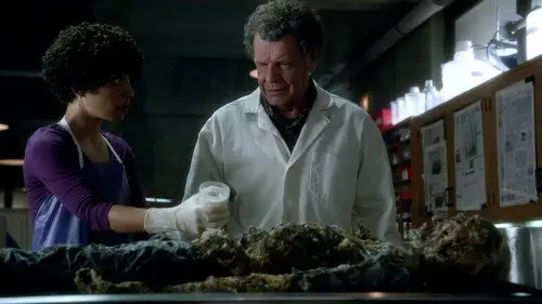 Fringe Temporada 4 Episodios 3 • Sub Español