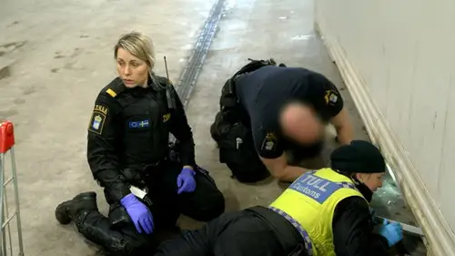 Gränsbevakarna Sverige Temporada 3 Episodios 14 • Sub Español