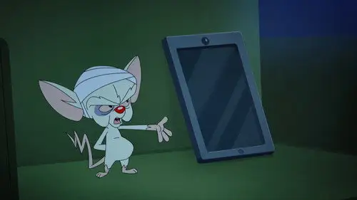 Animaniacs Temporada 1 Episodios 15 • Sub Español