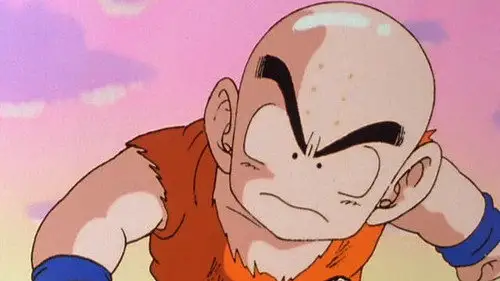 Dragon Ball Z Kai Temporada 1 Episodios 13 • Sub Español