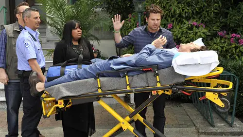 Psych Temporada 8 Episodios 8 • Sub Español