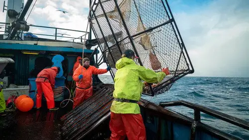 Pesca radical Temporada 18 Episodios 17 • Sub Español