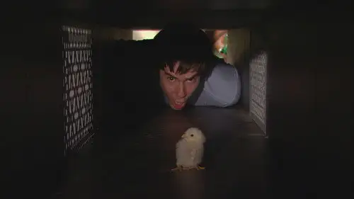 iCarly 2007 Temporada 1 Episodios 16 • Sub Español