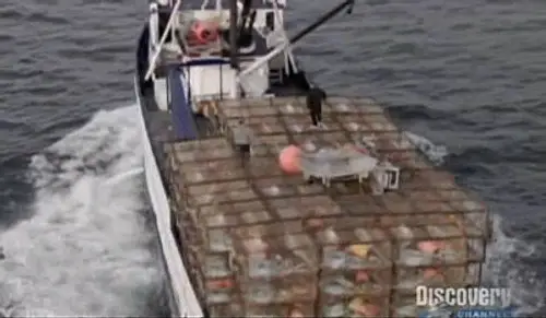 Pesca radical Temporada 3 Episodios 2 • Sub Español