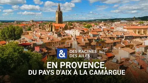 Des racines & des ailes Temporada 29 Episodios 11 • Sub Español