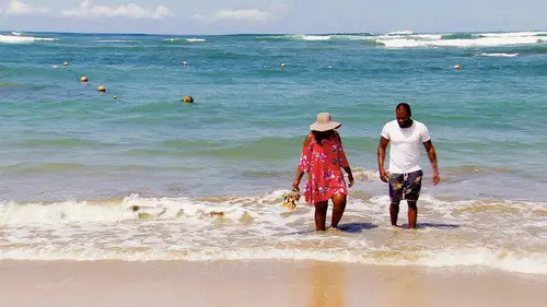 Casados a primera vista Temporada 8 Episodios 4 • Sub Español