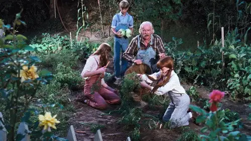 Los Walton Temporada 4 Episodios 13 • Sub Español