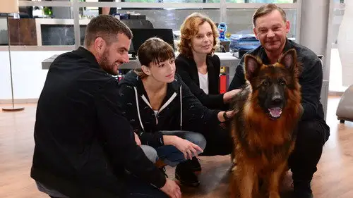 Komisarz Alex Temporada 8 Episodios 3 • Sub Español