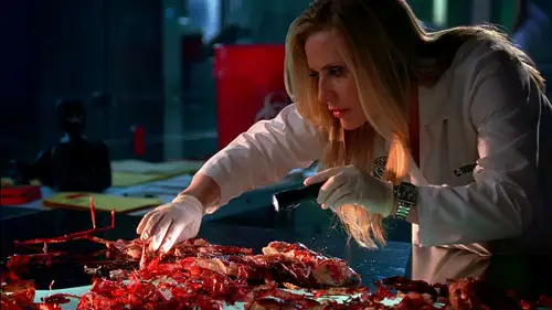 CSI: Miami Temporada 7 Episodios 21 • Sub Español