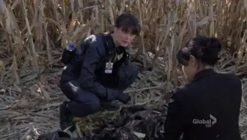 Bones Temporada 6 Episodios 12 • Sub Español