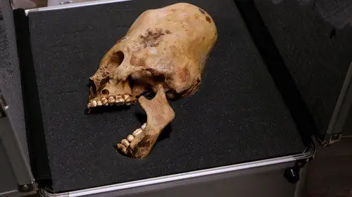 Alienígenas ancestrales Temporada 18 Episodios 16 • Sub Español