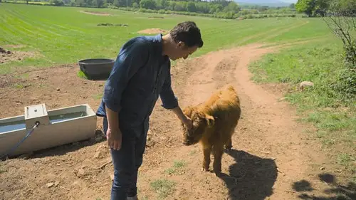 Countryfile S38E20 • Oglądaj Online