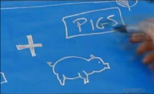 Pogromcy mitów S1E10 • Oglądaj Online