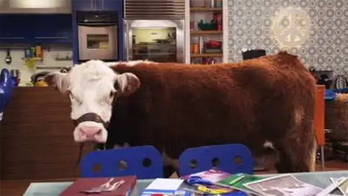 Big Time Rush Temporada 2 Episodios 15 • Sub Español