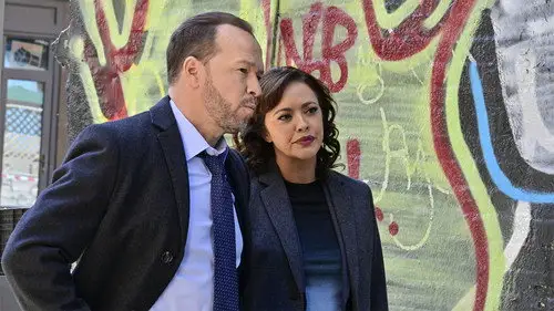 Familia de policías Temporada 12 Episodios 7 • Sub Español