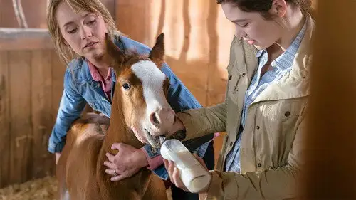 Heartland Temporada 10 Episodios 2 • Sub Español