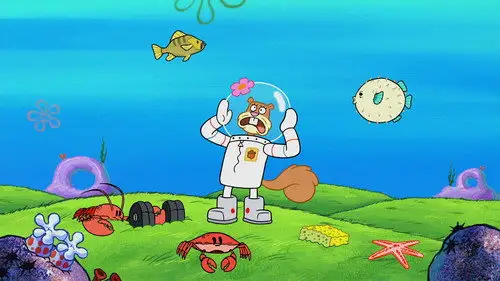 Bob Esponja Temporada 11 Episodios 5 • Sub Español