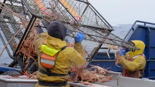 Pesca radical Temporada 20 Episodios 17 • Sub Español