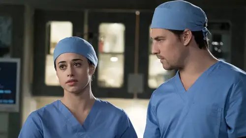 Anatomía de Grey Temporada 14 Cap 19 • Español Online