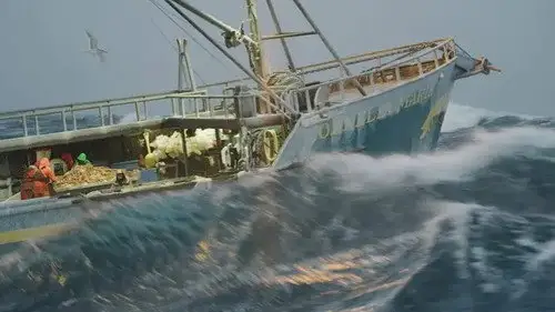 Pesca radical Temporada 15 Episodios 13 • Sub Español