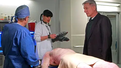 Navy: Investigación criminal Temporada 9 Episodios 10 • Sub Español