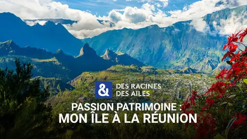 Des racines & des ailes Temporada 28 Episodios 9 • Sub Español